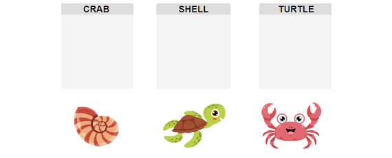 Crab, Shell, Turtle