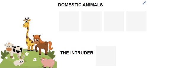 Domestic animals – Find the intruder