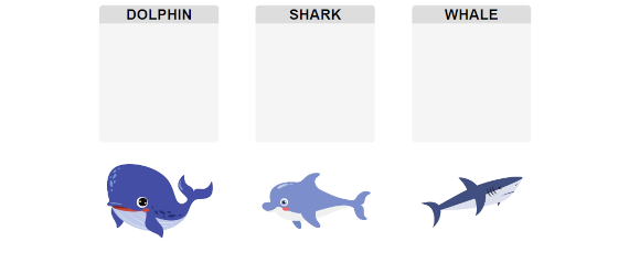 Dolphin, Shark, Whale